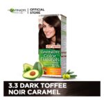 Garnier Color Natural Hair Color 3.3