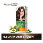 Garnier Color Natural Hair Color 6.1