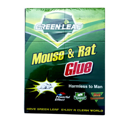 Green Leaf Mouse & Rat Glue Pad