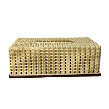 Kiwi Tissue Box Plastic Fancy Cream