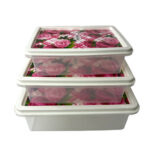 Lavenna Collection Freez Box Printed Small 3Pcs