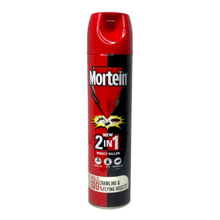 Mortein 2 In 1 Insect Killer Spray 300Ml