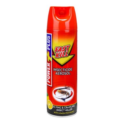 Power Plus Fast Kill Insecticide Aerosol 500ml