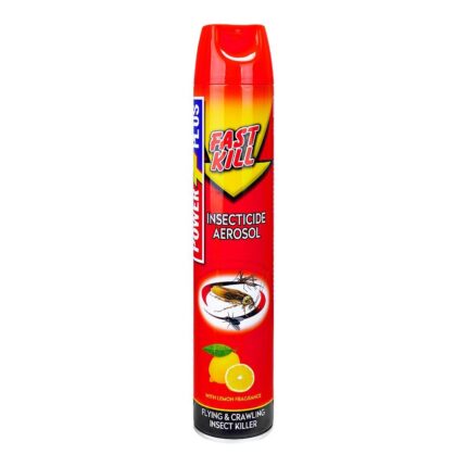 Power Plus Fast Kill Insecticide Aerosol 600ml