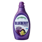 Salmans Blueberry Flavored Topping 623G