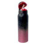Stainless Steel Water Bottle (1821)
